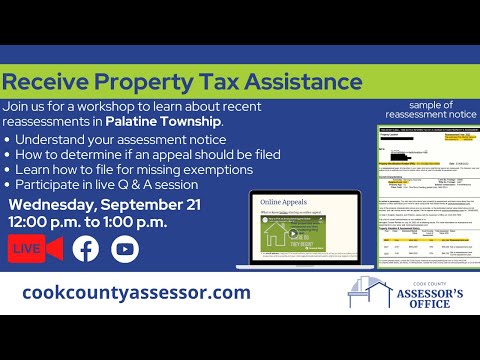 Preview image for the video "Receive Property Tax Assistance | Palatine Township".
